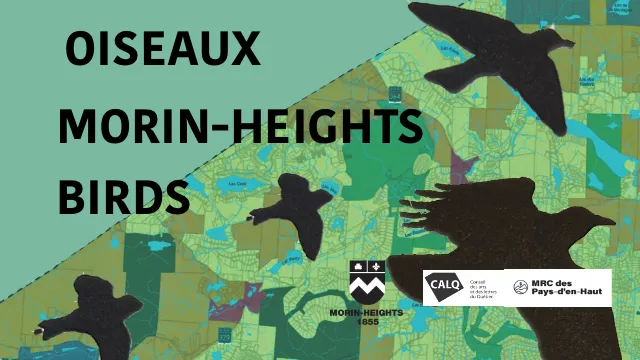 Oiseaux Morin-Heights Birds project promotion