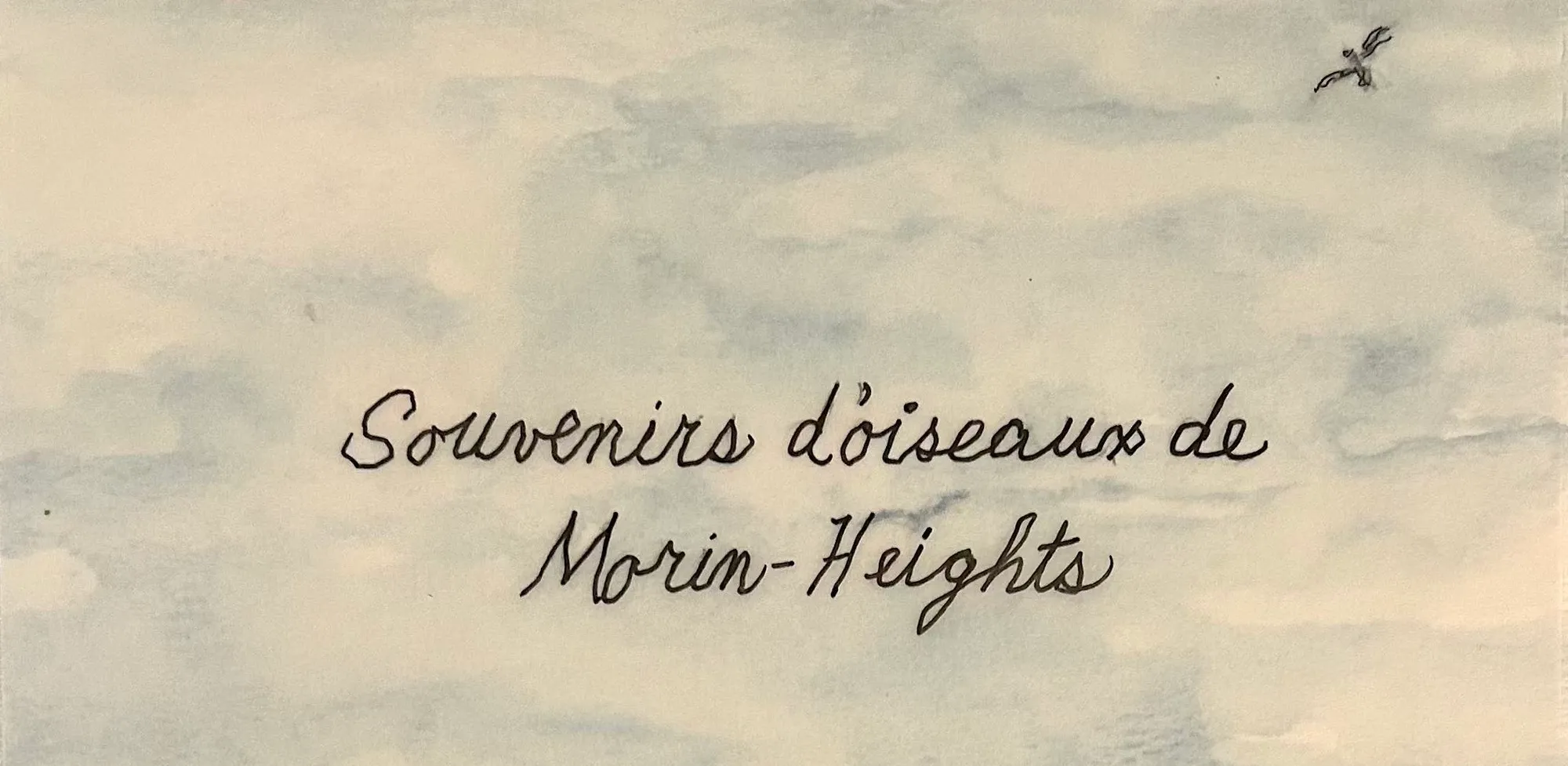 Memories of birds of Morin-Heights