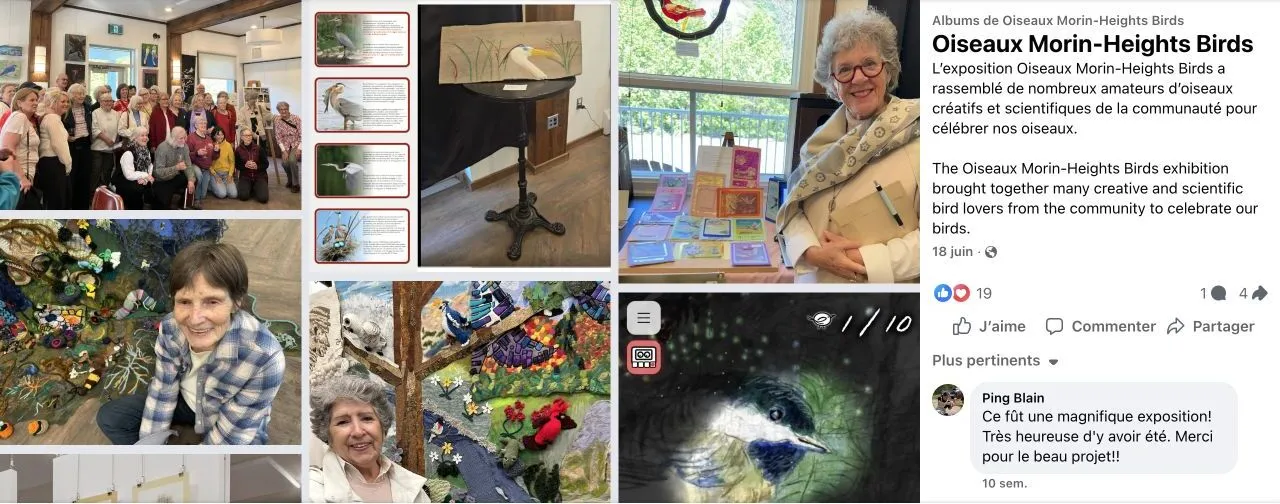 The project’s Facebook exhibition album, shown with the Facebook interface in French