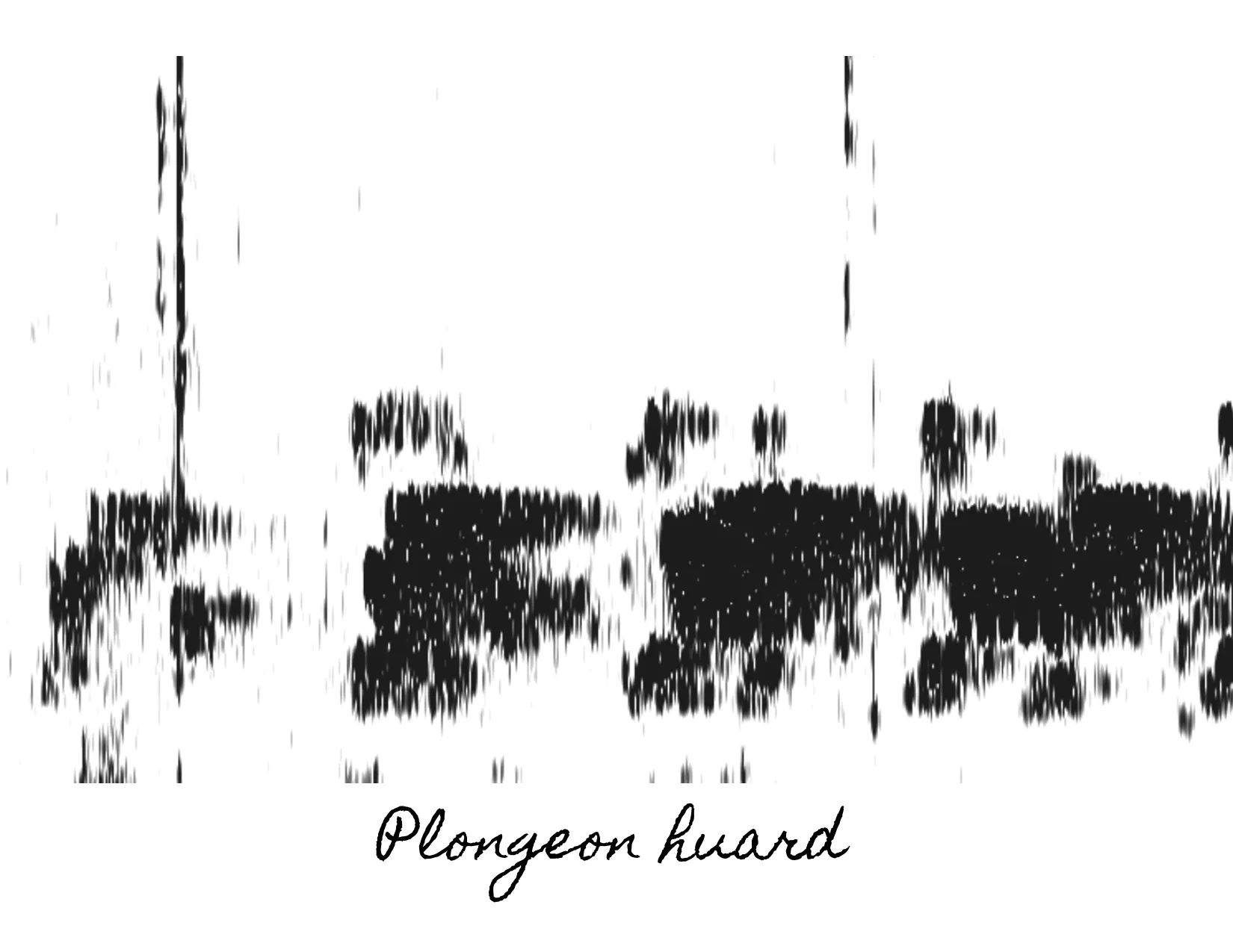 Étude spectrographique du chant d’un Plongeon huard, intitulée Plongeon huard.