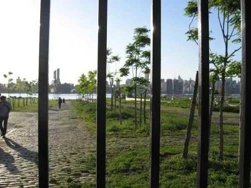 In the East River State Park in Williamsburg, Brooklyn, a guided, interactive soundwalk leads a group of participants in search of small hidden rocks that have been painted with endangered and extinct indigenous flowers.