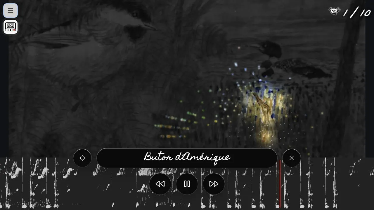 Écran du jeu Oiseaux cachés montrant un Butor d’Amérique découvert, une zone du paysage révélée en couleur et le lecteur audio affichant son spectrogramme.