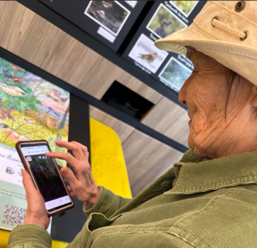 Une visiteuse joue à Oiseaux cachés sur un téléphone intelligent devant l’installation.
