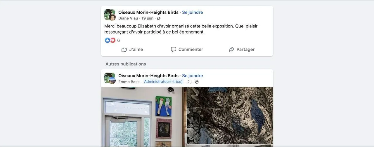 A participant’s message on the project’s Facebook group